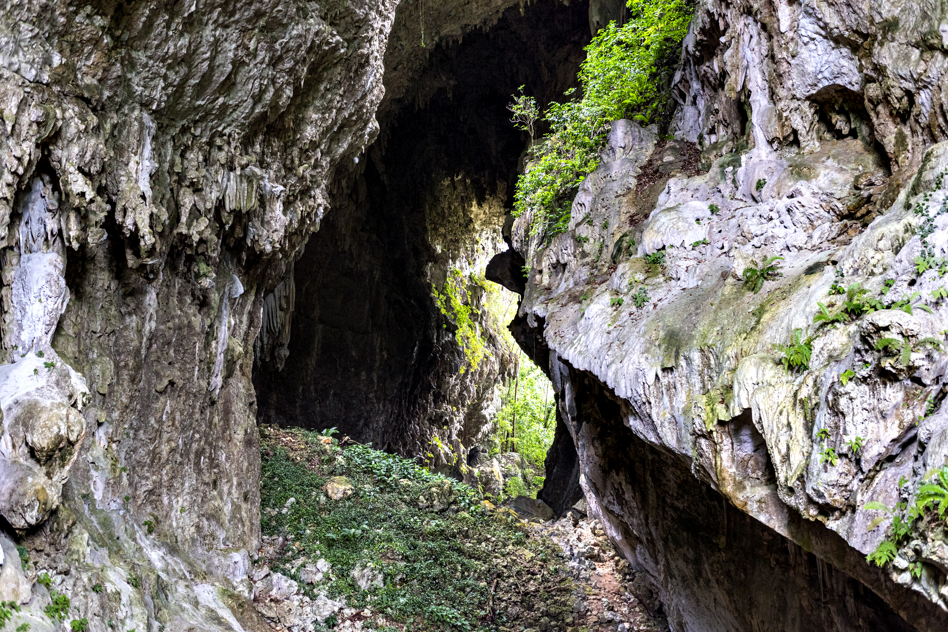 Cuevas de Candelaria, Alta Verapaz