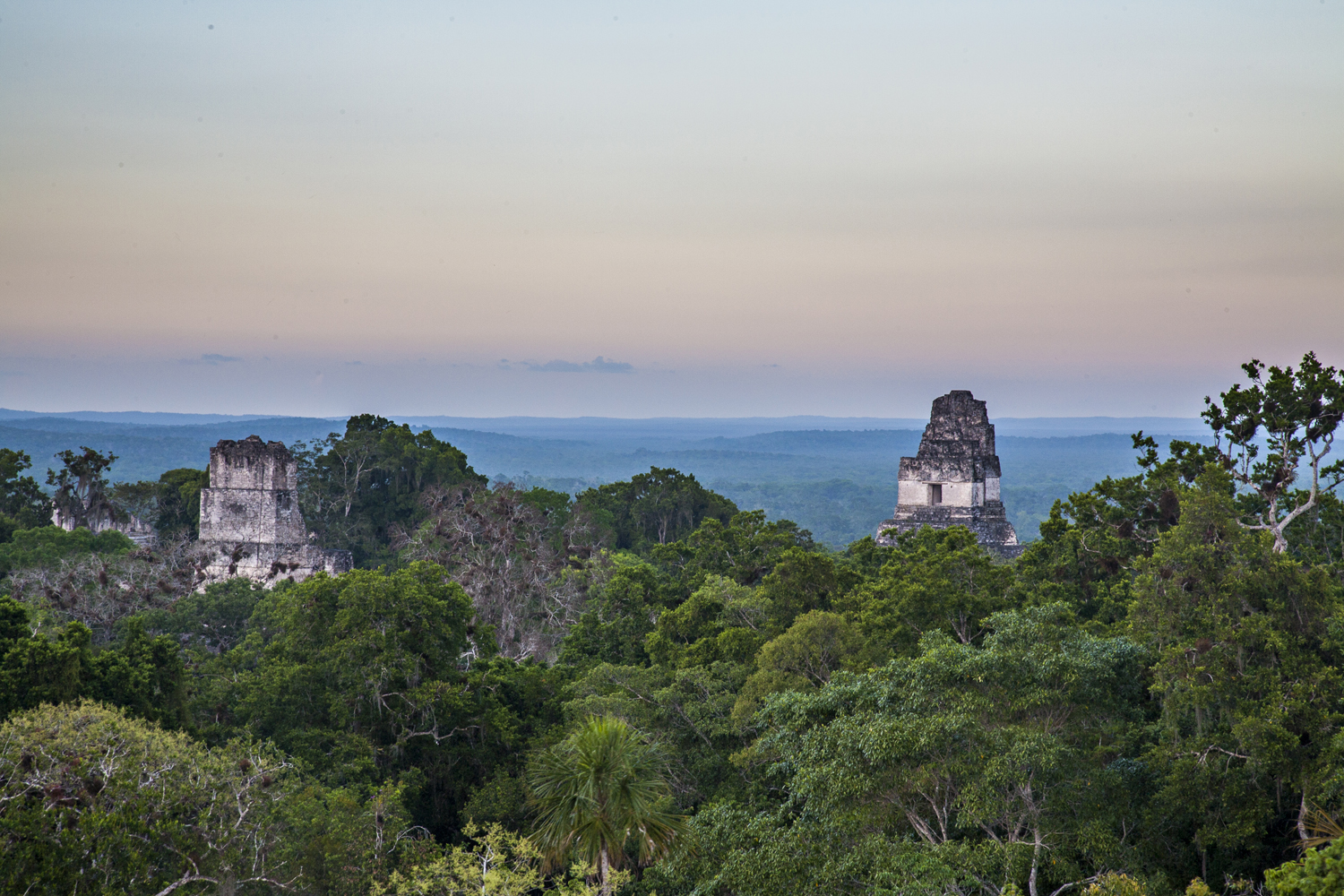 Piedra maya a contraluz, primera hora